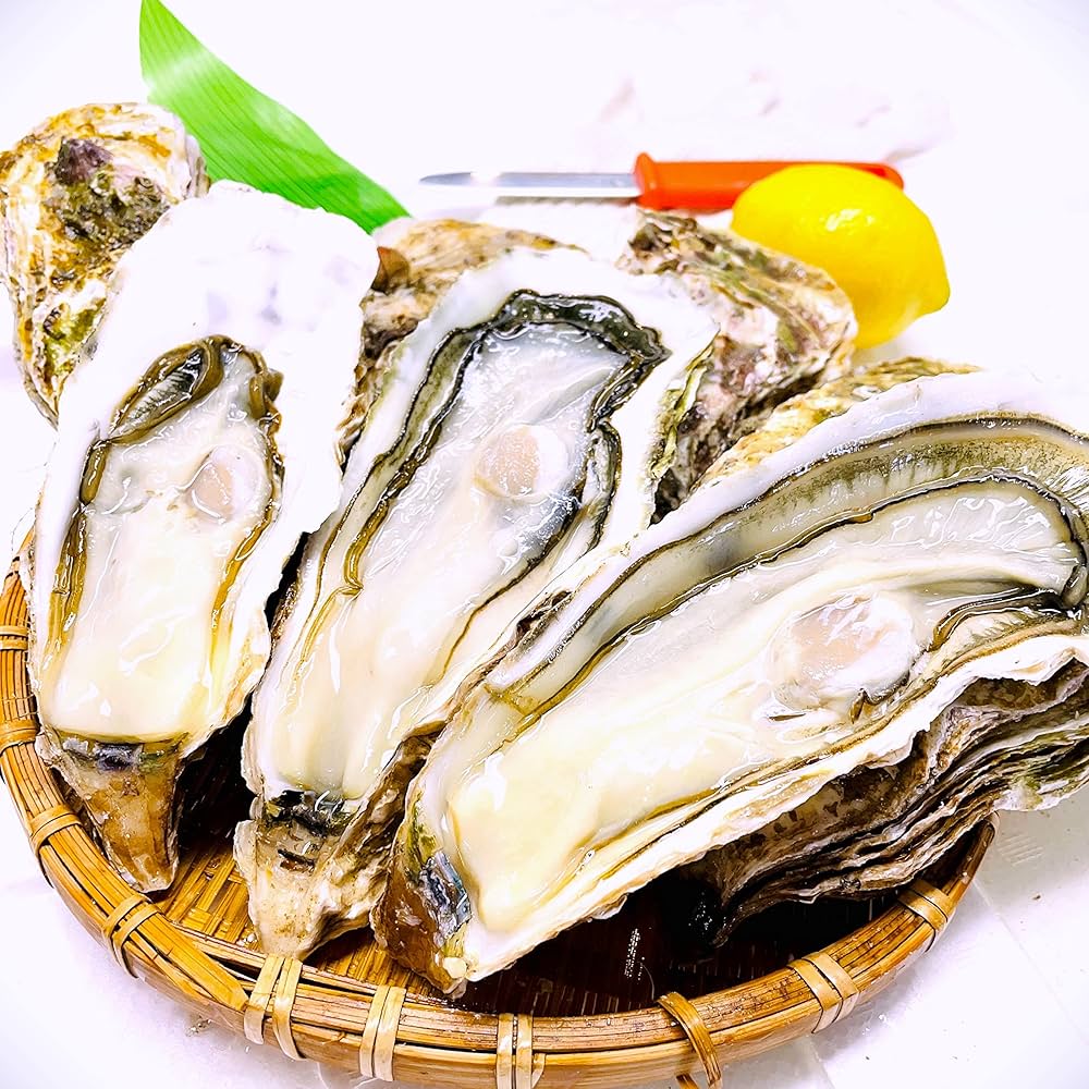 Amazon.co.jp: かきや no kakiya 三陸産 大粒 殻付き生かき ( 10